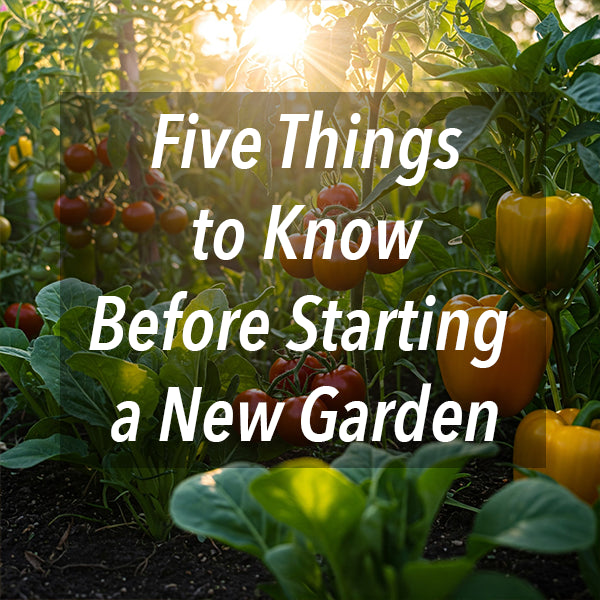 Five Things to Know Before Starting a New Garden