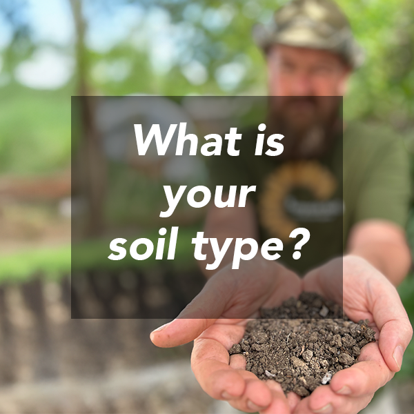 How to Tell What Type of Soil You Have (and Why It Matters)