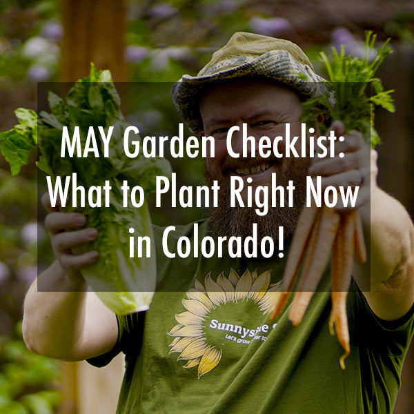 What to Plant in May by USDA Zone: Your Complete Gardening Guide