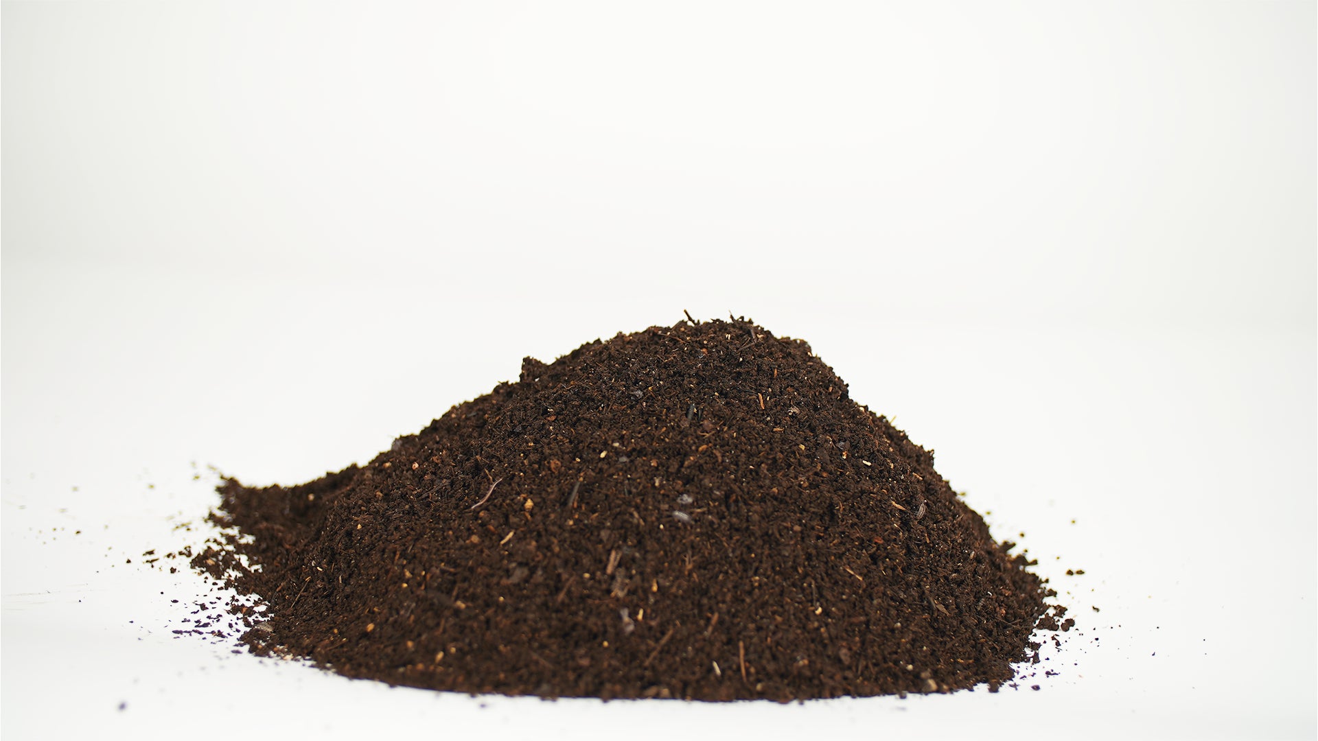 What Are Worm Castings?