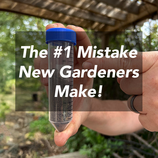 Why Soil Testing Is the Key to a Healthy Garden: How to Test Your Soil the Right Way