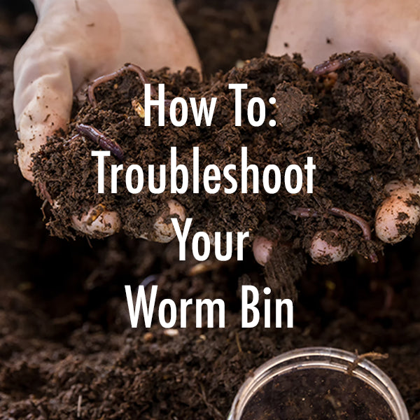 Troubleshooting Your Worm Bin
