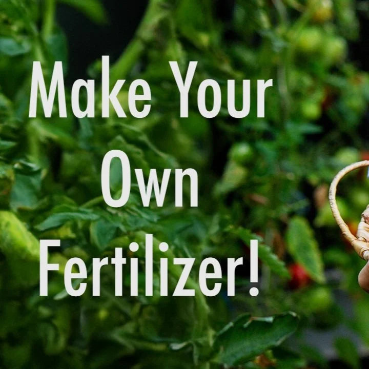 How To: Start A Worm Bin