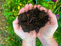 Consultation - Compost/Vermicompost