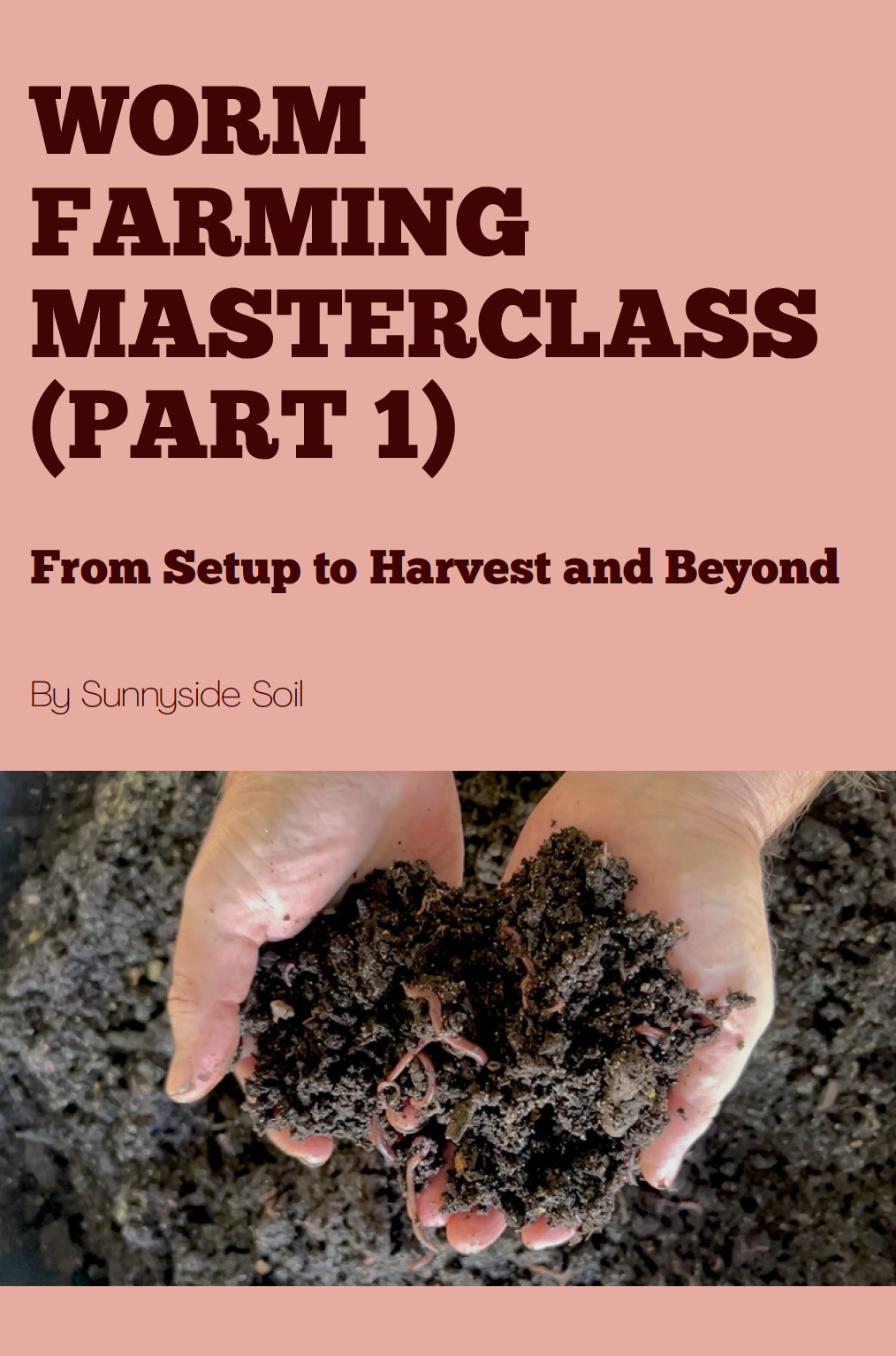 How To Start a Worm Bin Masterclass PDF Download